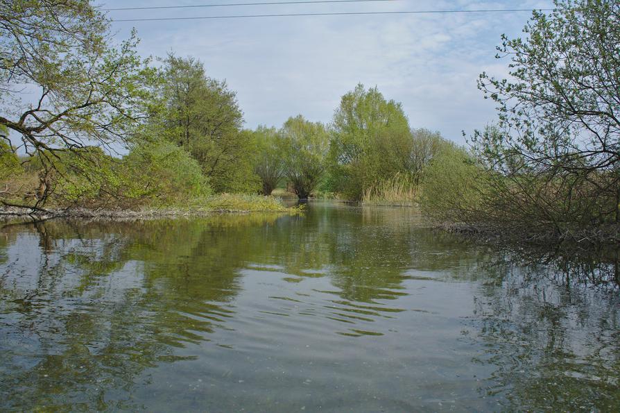 die Schwentine nahe dem Kronsee