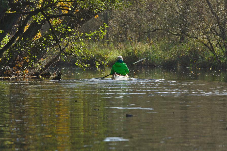 Kajak im Herbst auf der Schwentine