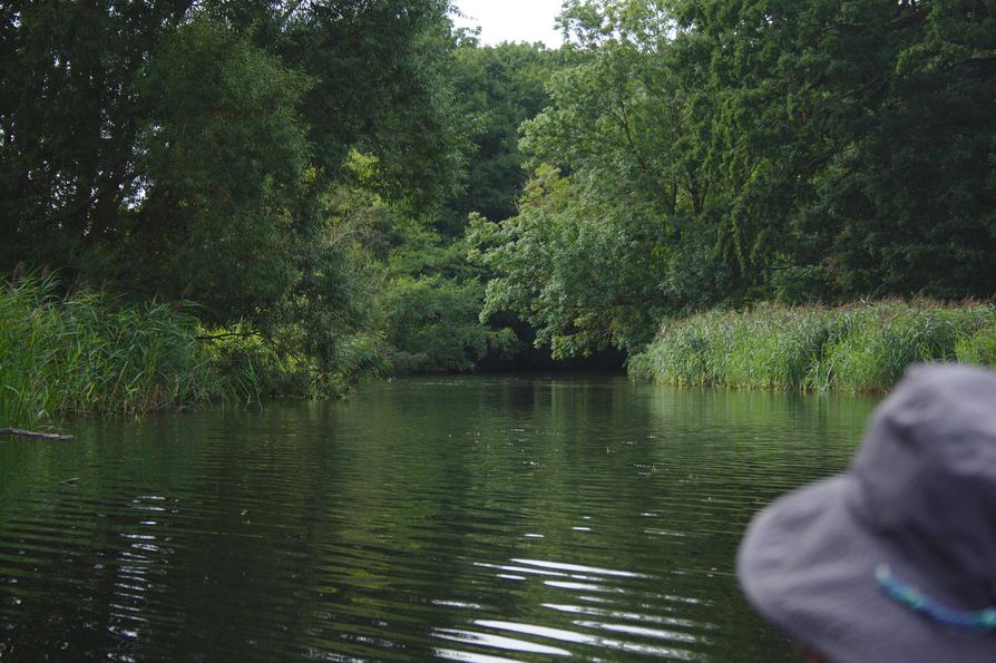 Schwentine vor dem Kronsee