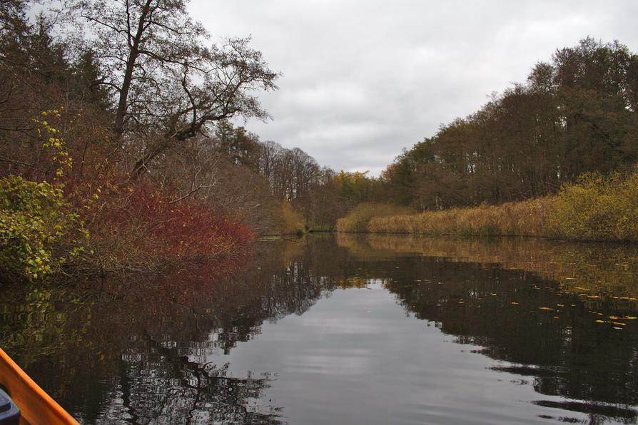 Reetufer im Herbst an der Schwentine