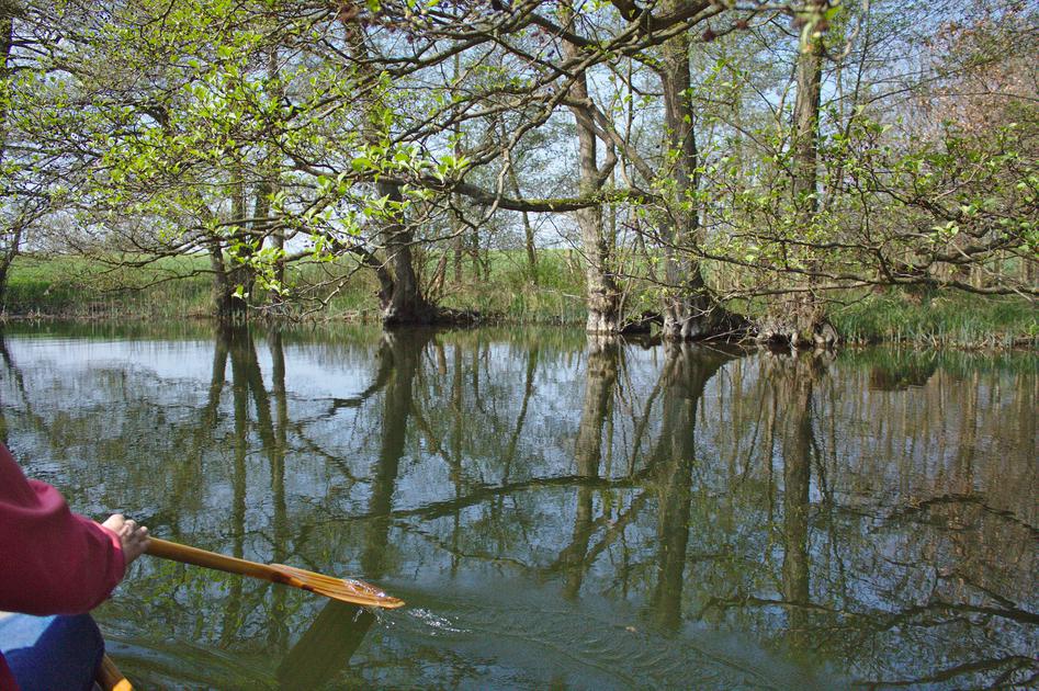 Auf dem Kronsee und Fuhlensee am 29. April Kanu & Natur